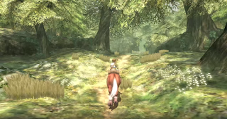 The Legend of Zelda - Twilight Princess - Entrada bosque Farone
