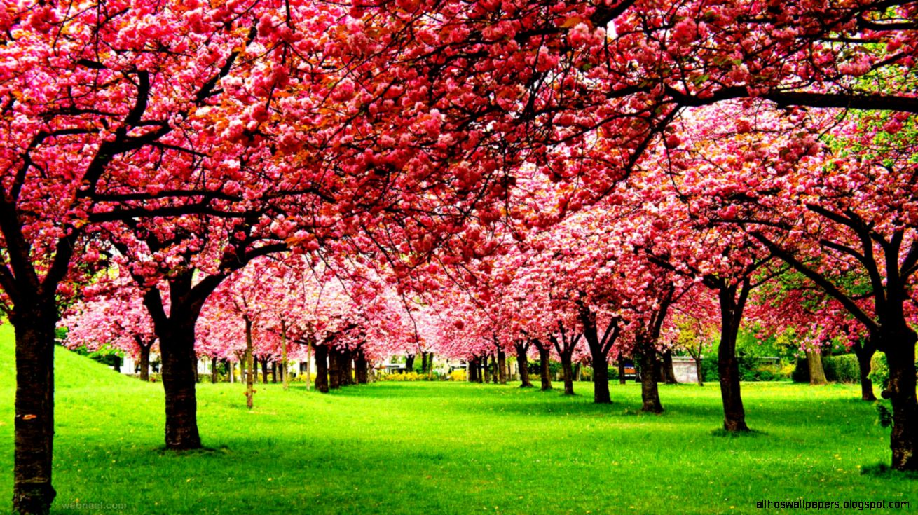 40 Beautiful Nature Photography examples for your inspiration