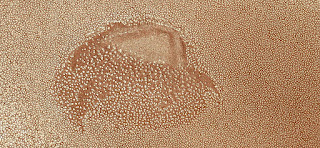 Allegory of thousands of white birds trying to drink in a semi-dry lagoon in the African desert, abstract landscapes from the air from the deserts of Africa,Collection of Abstract Naturalism Munimara, fantasy forms of stone and colors in the desert, mirage in the desert, surreal, aerial, scenic, art, land, mirage in sahara desert, abstract surrealism, yellow sand,