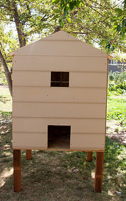 front view of finished coop