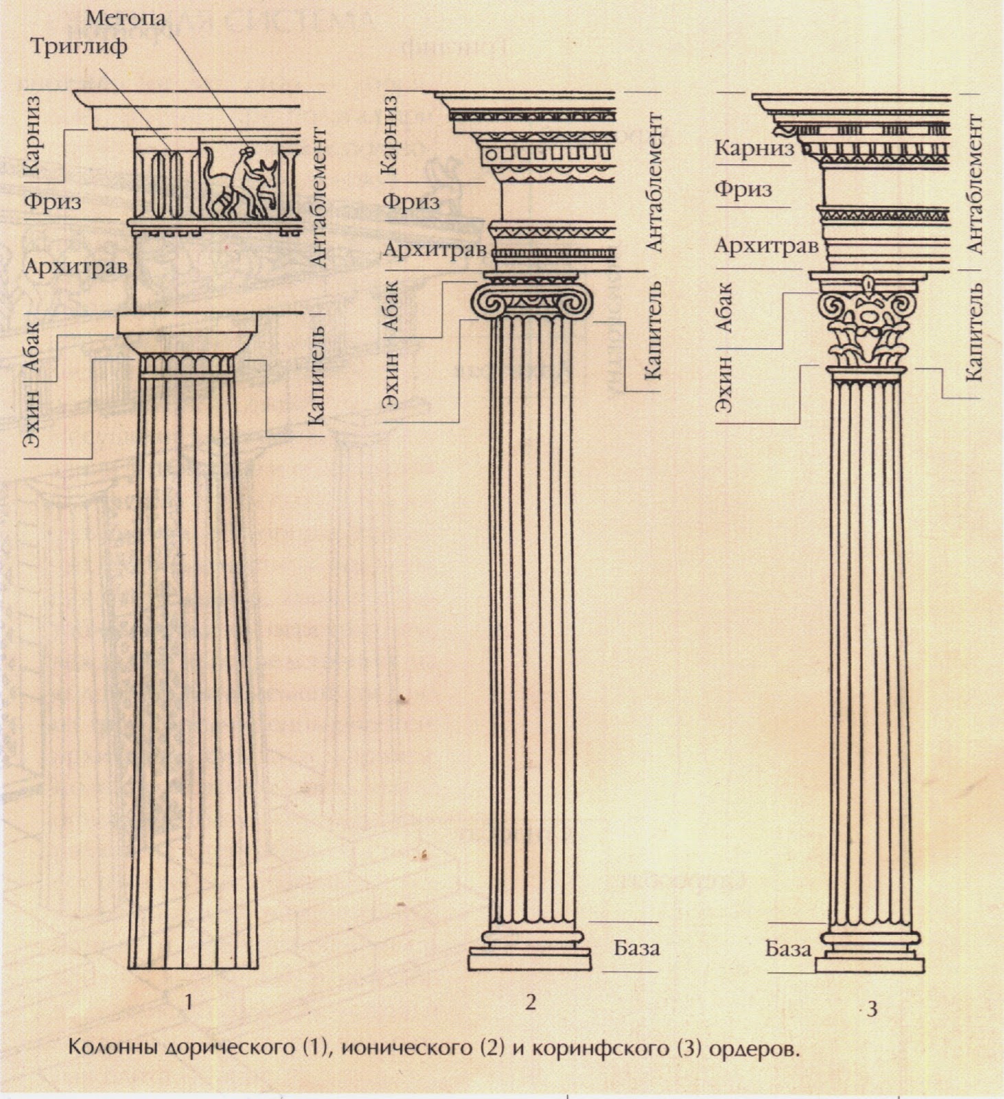Ордер является. Колонны дорические Ионические коринфские. Колонны дорического Ионического Коринфского ордеров. Ордерная система в архитектуре древней Греции. Дорический и ионический ордер.