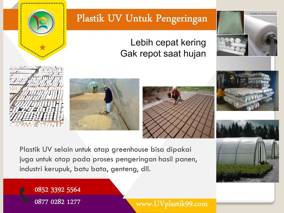 pemanfaatan plastik uv untuk pengeringan jual plastik uv pemanfaatan plastik uv untuk pengeringan jual plastik uv