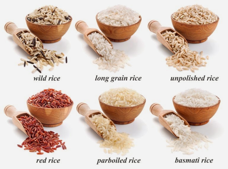 Nature and Farming The Importance of Rice