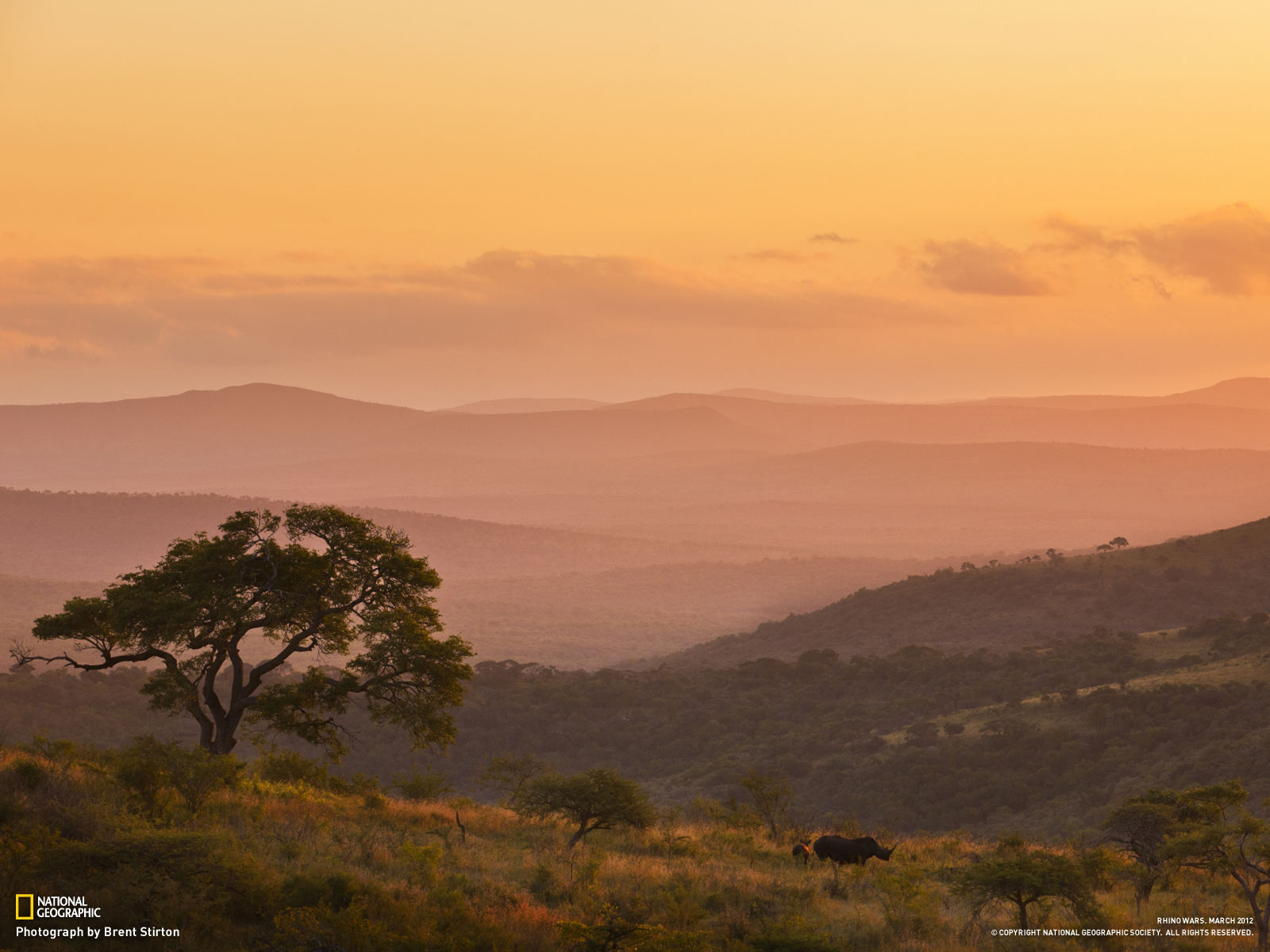 Desktop Wallpapers Free Download 2012 ~ Infotainment, Jobs, Tourism