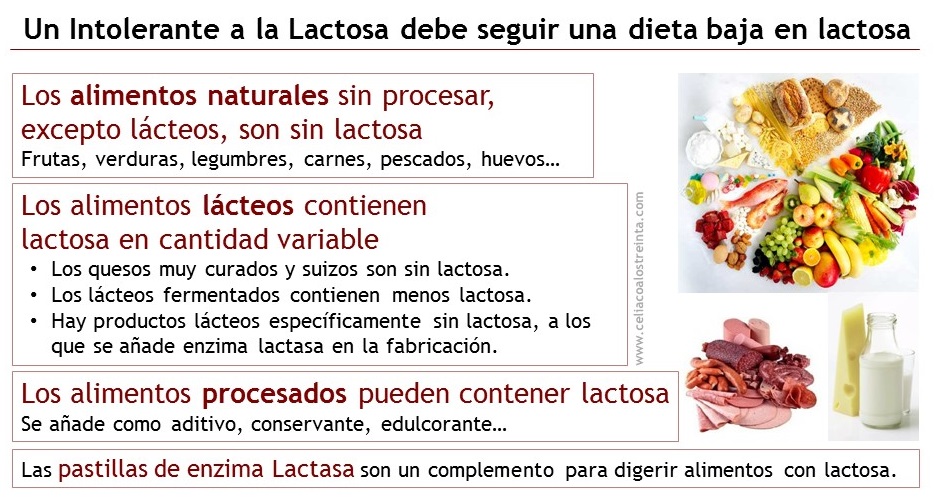 Intolerancia A La Lactosa Y Celiaquia
