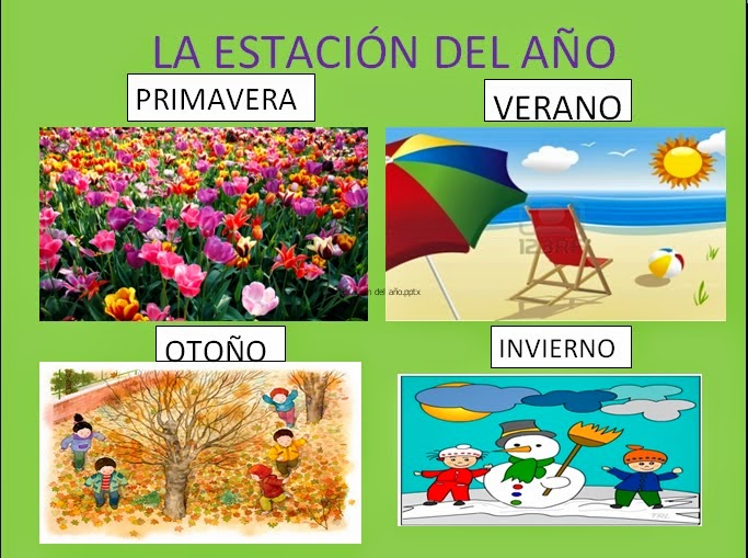 Estaciones del año verano