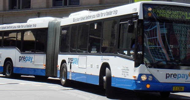 tranzit bus all quotes