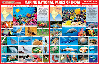 Marine National Park of India Chart