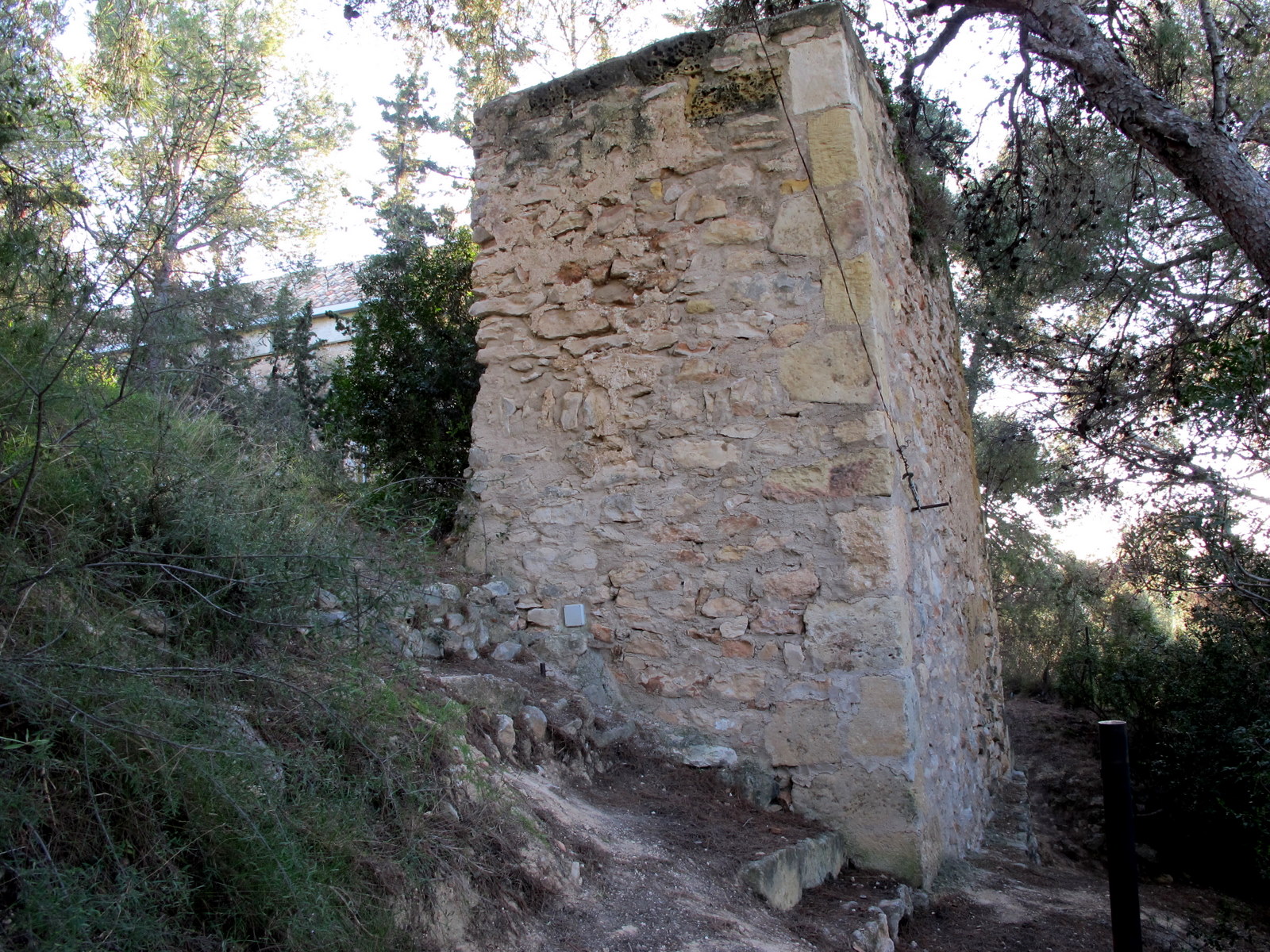 Castells Catalans Pobla de Montornès