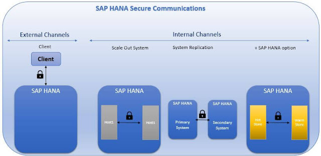 SAP HANA 2.0 Securing Data Communications