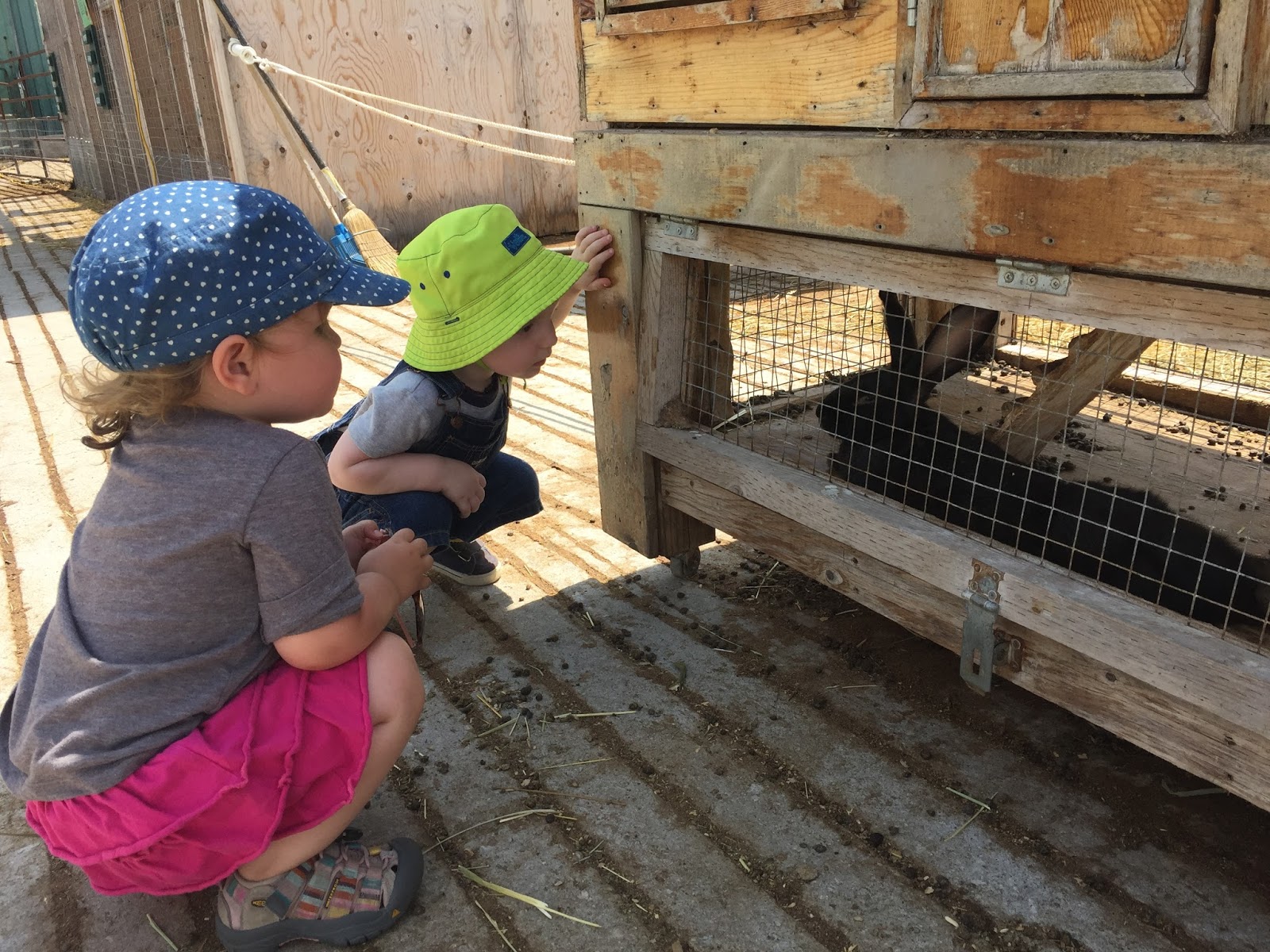 Building Blocks Preschool