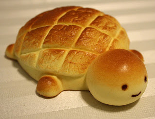 White Bread Hating Funny Turtle Image