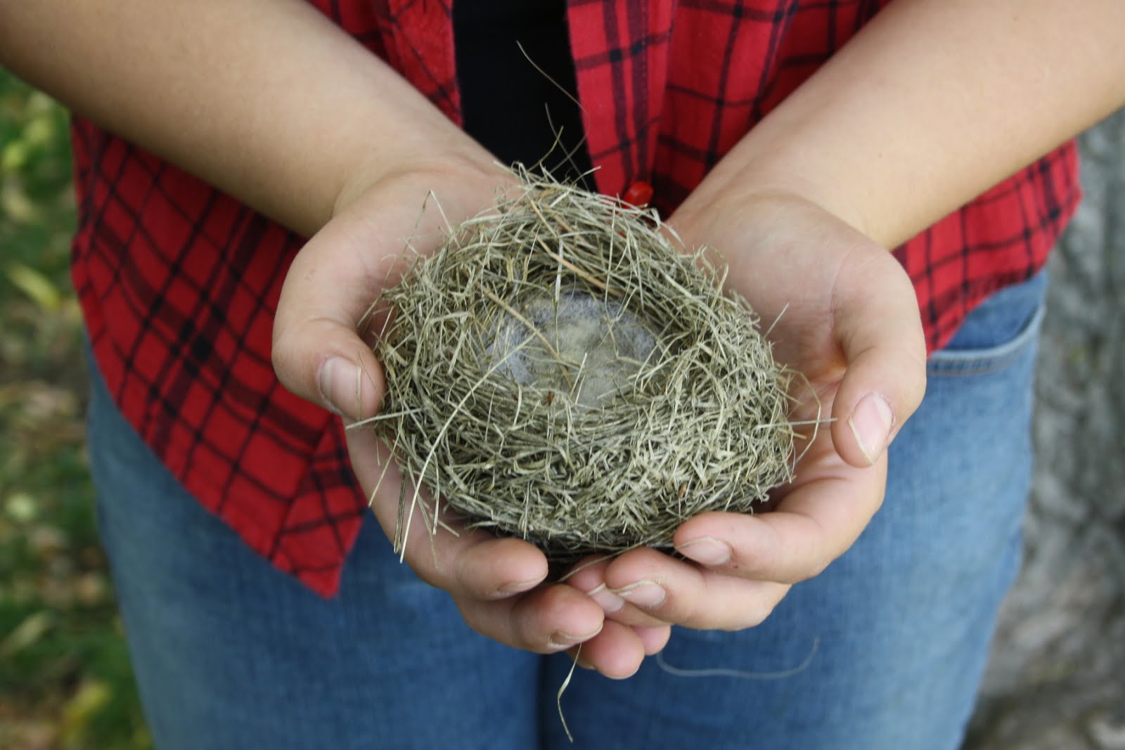 A Prairie Girl's Pen