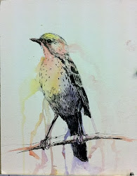 watercolor birds ink bird maria loose teen class kovalenko posted am drip