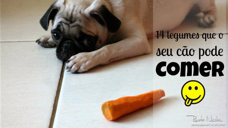Pug Baruk 14 legumes que o seu cão pode comer