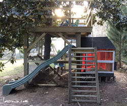 treehouse coop chicken
