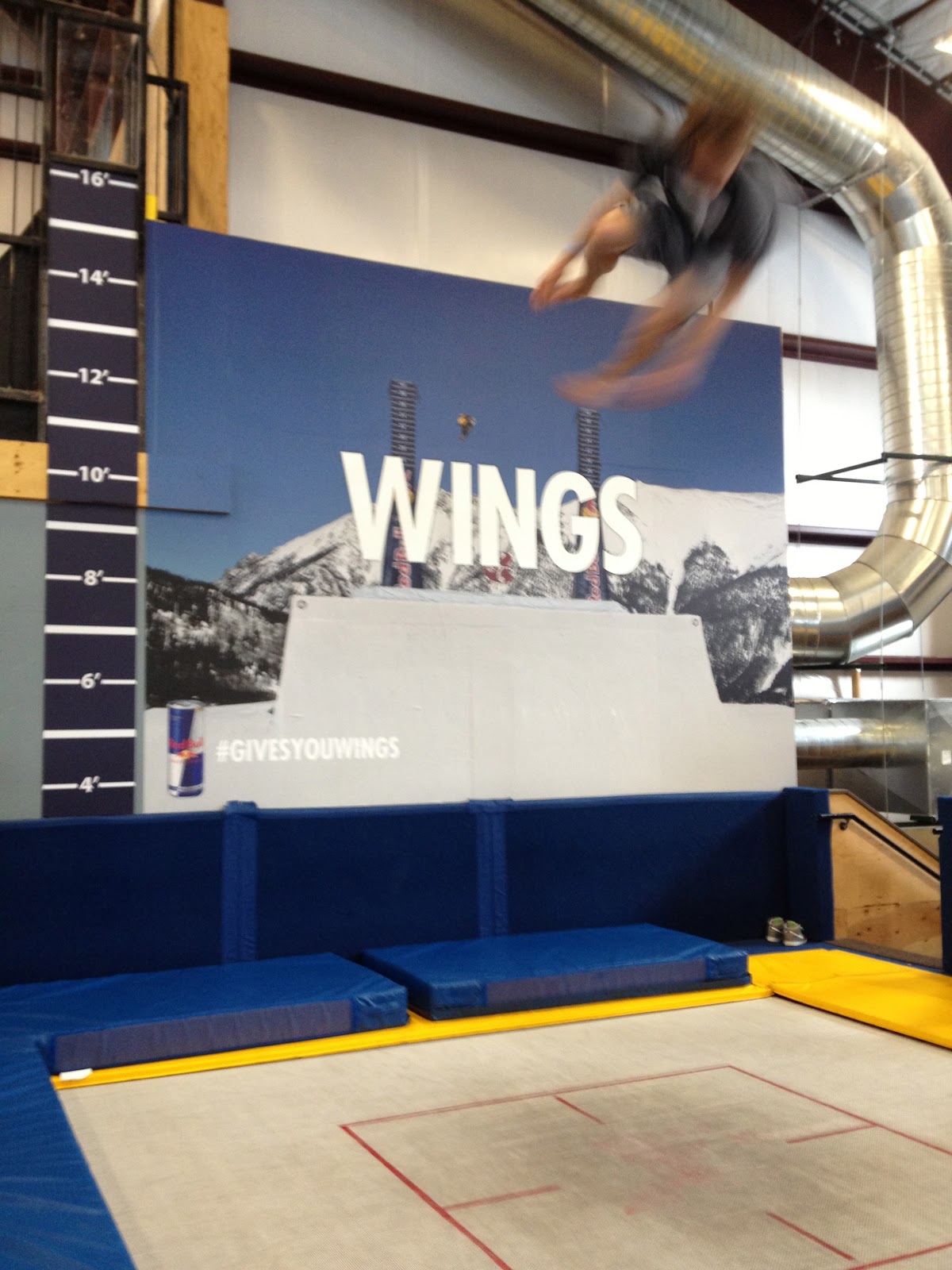 COMPASS HOUSE プロスキーヤー生産所 woodward!!!