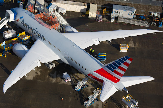  American Airlines Boeing 787-8 Dreamliner Bird Eye View