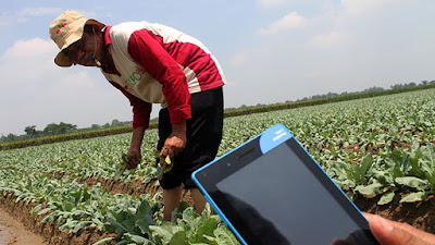 Petani, Digitalisasi dan E-Commerce Pertanian