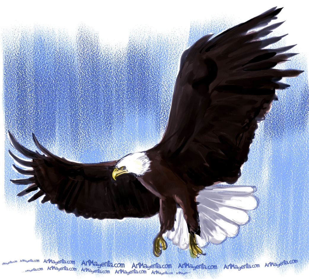 Birds: Eagles