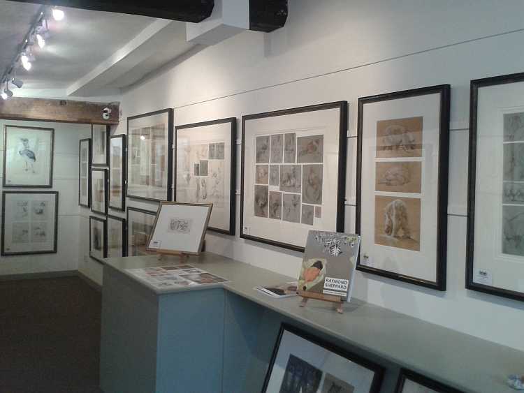 Raymond Sheppard Exhibition review