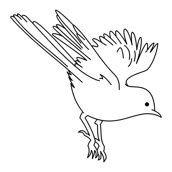 TATTOOS: Bird Tattoo Stencils