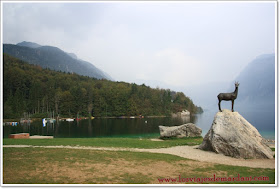 ZLATOROG DEL LAGO BOHINJ