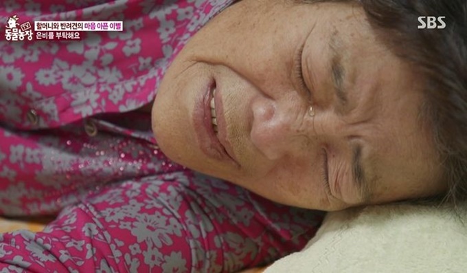이미지에 대체텍스트 속성이 없습니다; 파일명은 7e1mhi3e3u88726s5knd.jpg 입니다.
