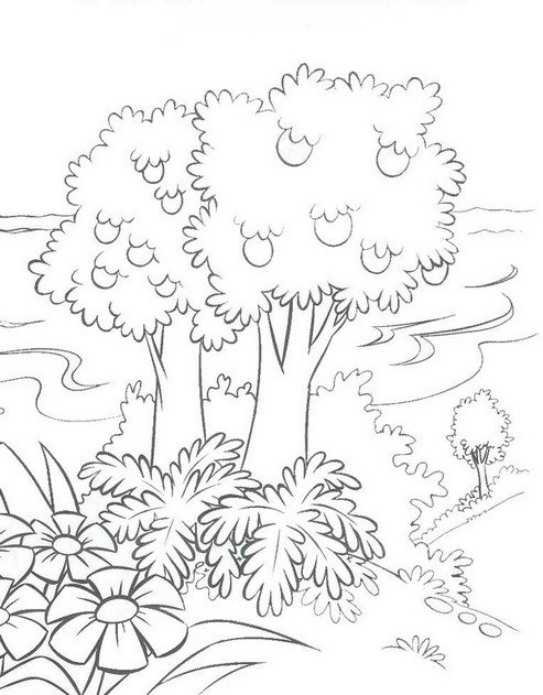 dia da natureza 04 out 30 desenhos para colorir pintar imprimir