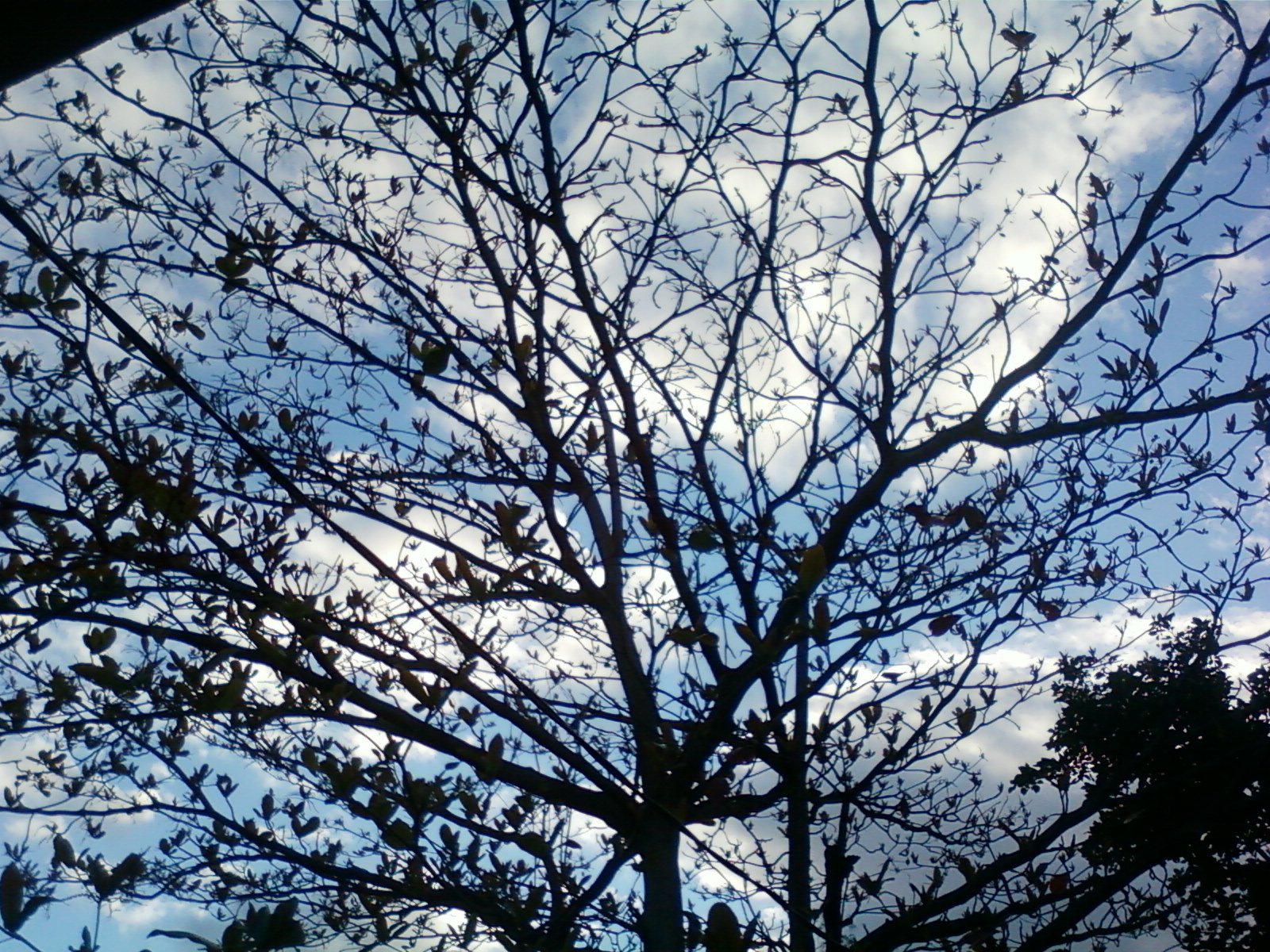 Partager avec plaisir - Recettes de cuisine faciles et idées de ...