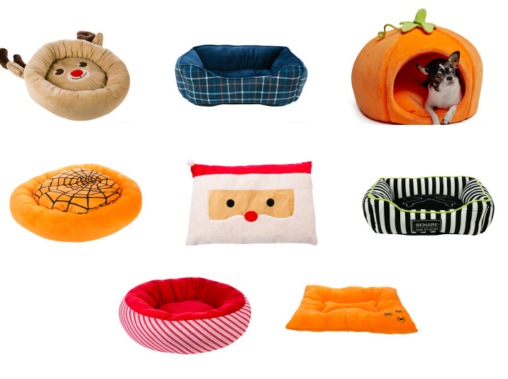 petsmart pumpkin bed