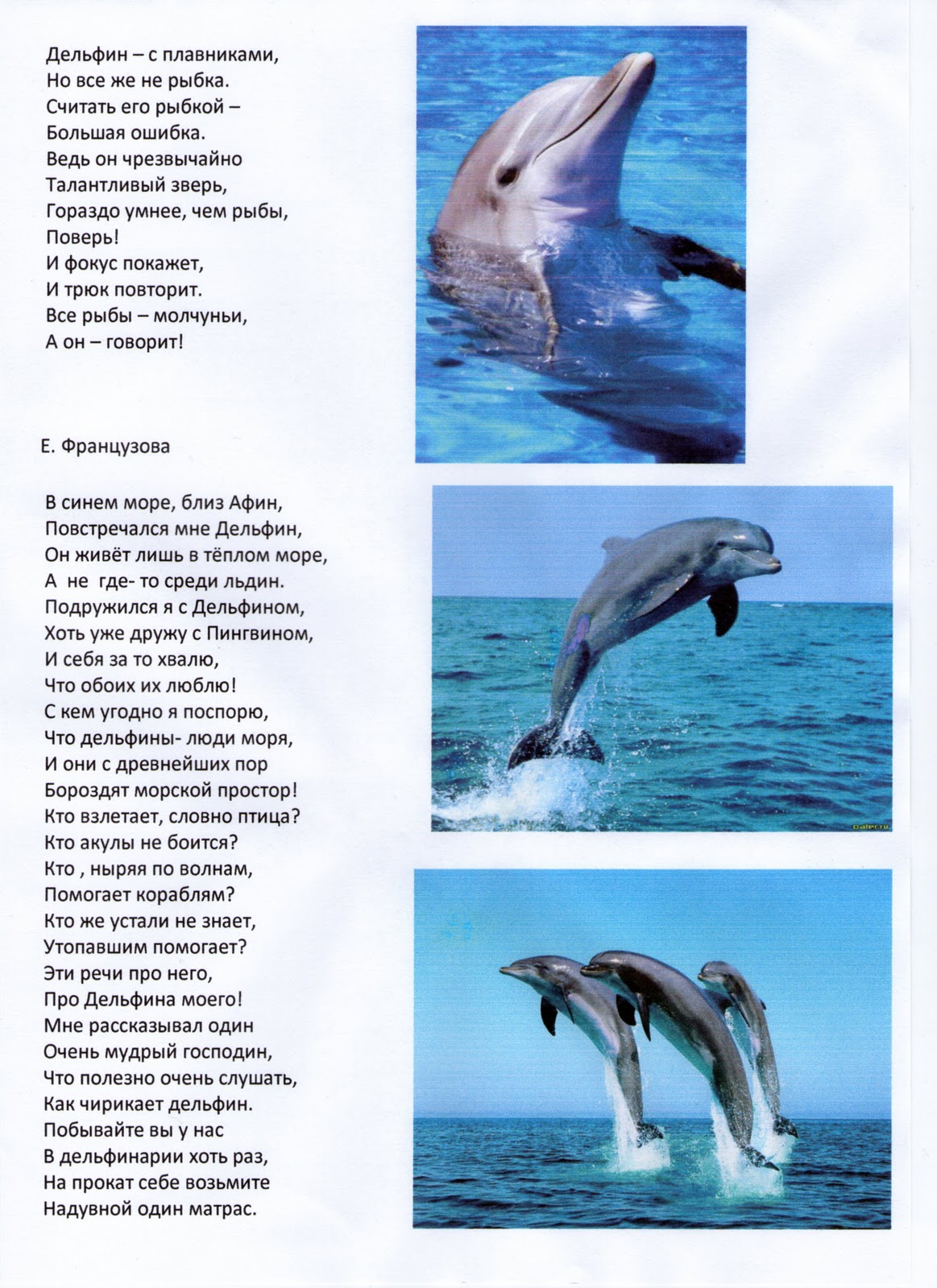 Дельфин я люблю текст. Стихи про дельфинов. Стих про дельфина. Стих о дельфине. Загадка про дельфина для детей.
