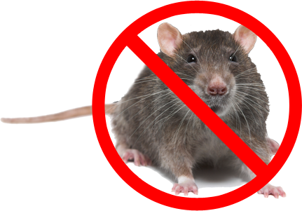 sign pdf free online mouse sign pdf free online mouse