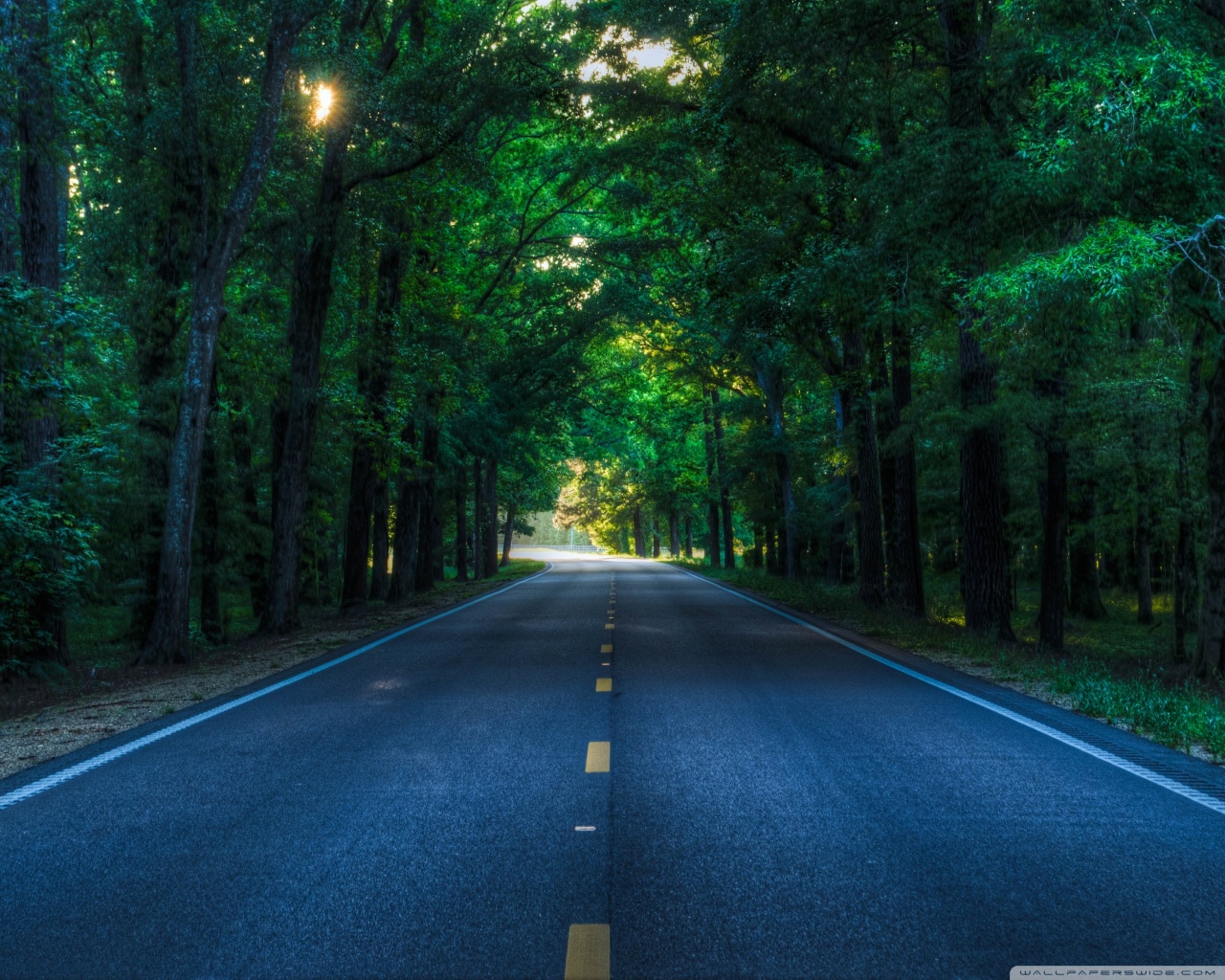 WALPAPER : Download Walpaper Gratis WALPAPER : Download Walpaper Gratis