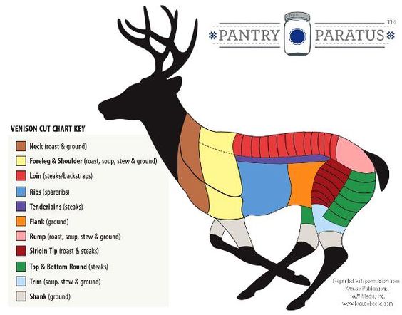 Venison Butcher Diagram venison-butcher-diagram