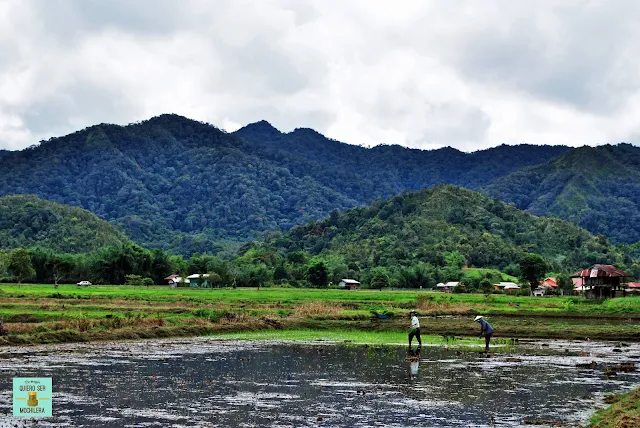 Bario (Kelabit Highlands), Borneo (Malasia)