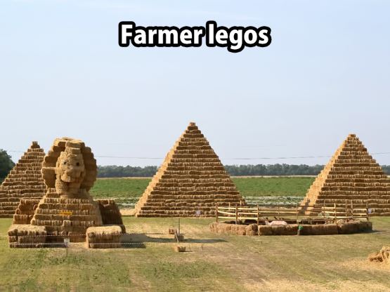 farmer-legos.jpg