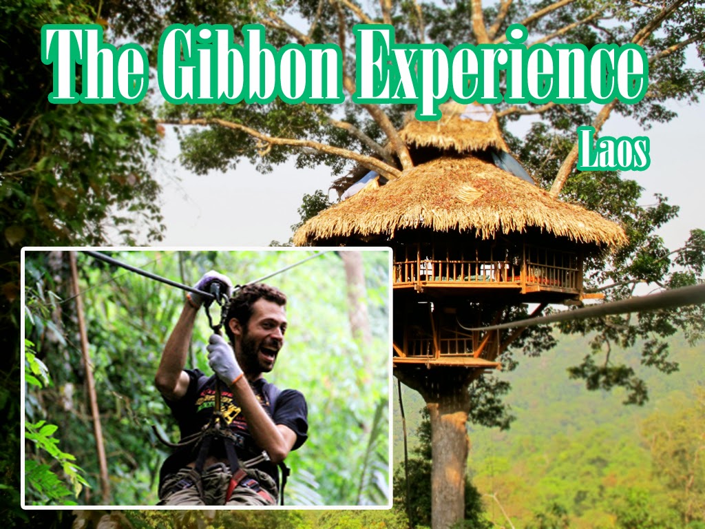 เที่ยวลาว The Gibbon Experience ผจญภัยบนต้นไม้