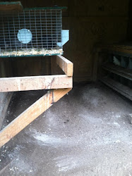 coop chicken diatomaceous earth sprinkle raking coops helps outside say inside around they some
