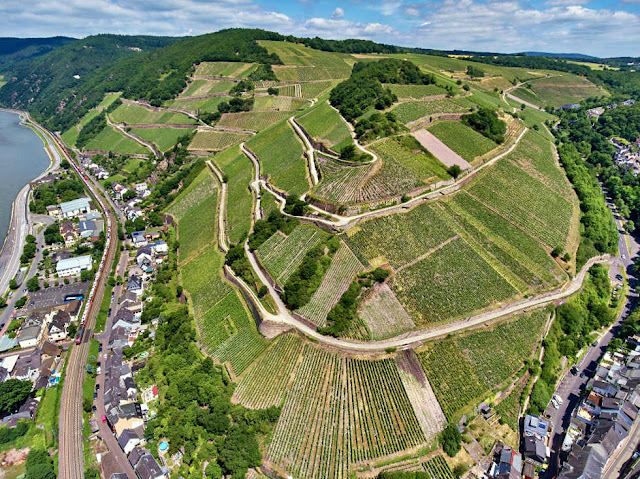 Weinlage Höllenberg in Assmannshausen