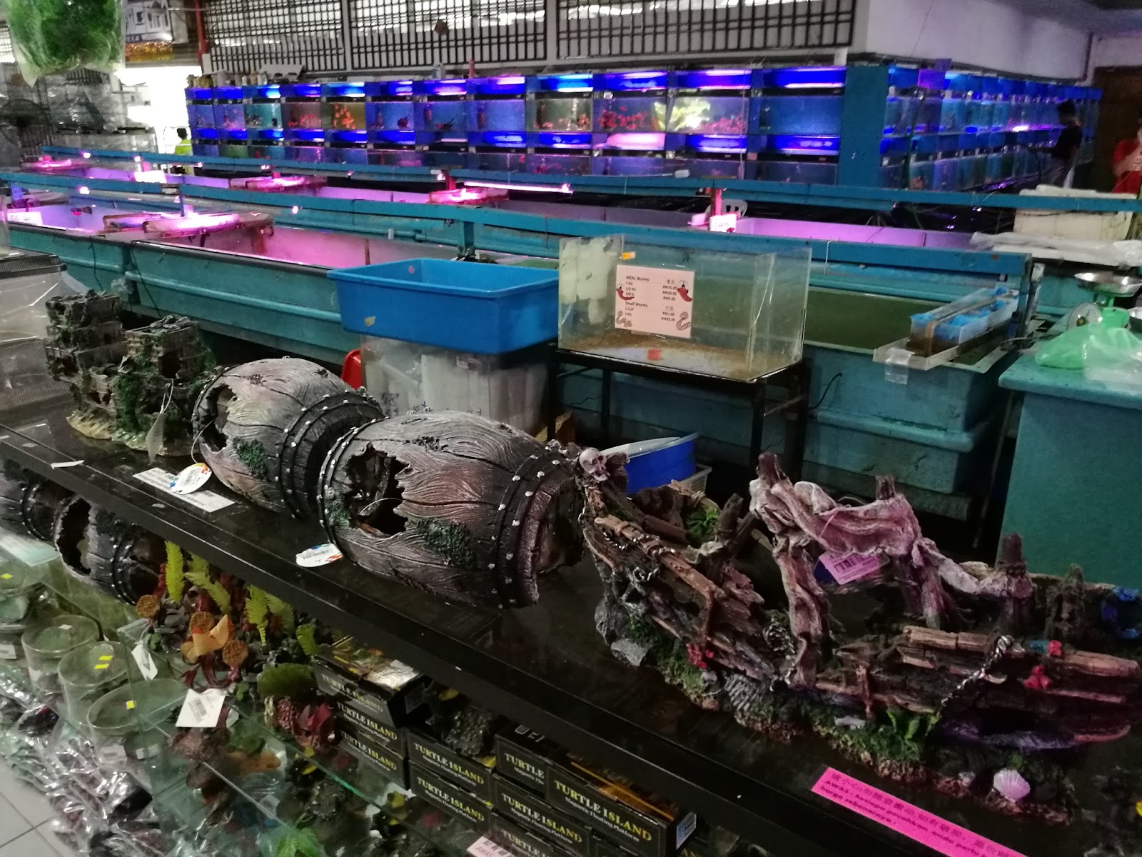 Nanyang Fish Farm, Kulai, Johor