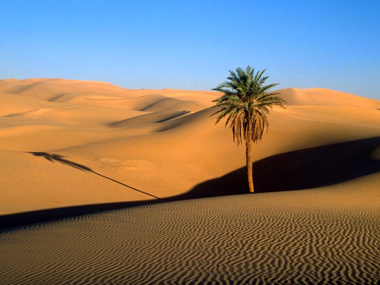 Sahara Africa