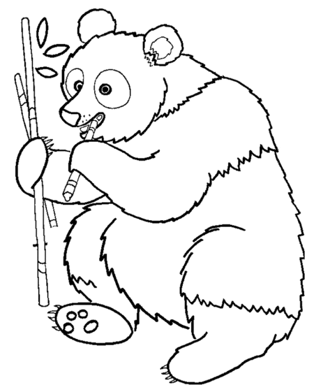 panda bear coloring pages - photo #20