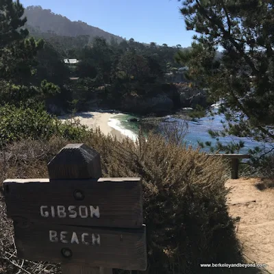 view of Gibson Beach at Point Lobos State Natural Reserve in Carmel, California