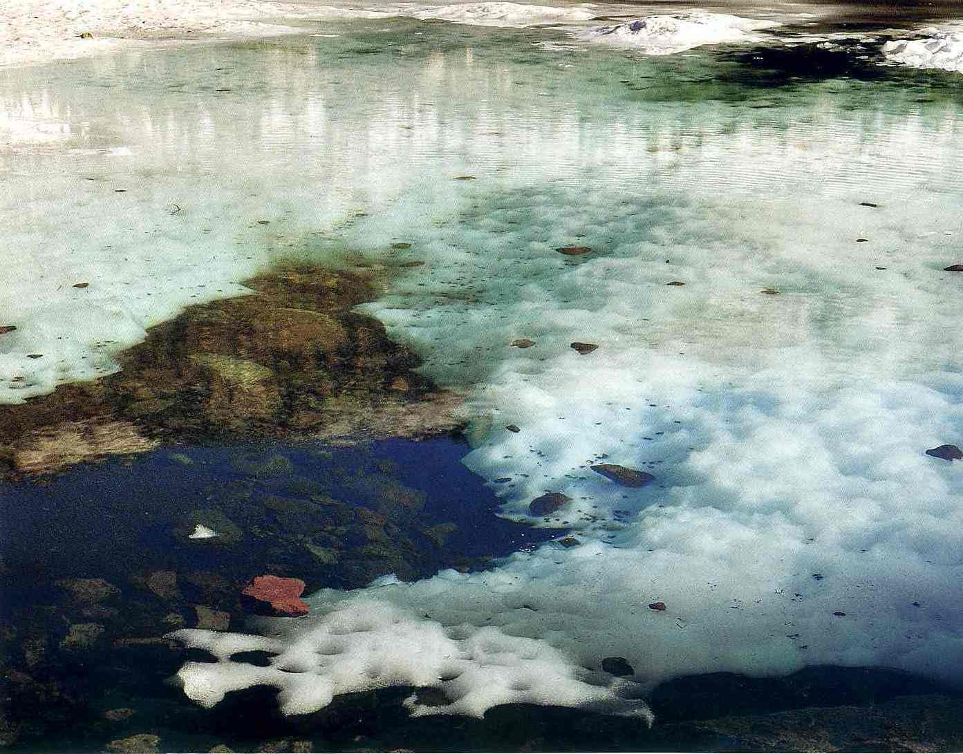 THE PHOTOGRAPHY FILES Eliot Porter