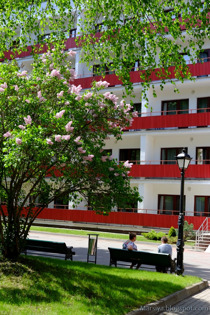 пралеска санаторий жлобин. санаторий под. пансионаты в минске. санаторий под измаилом. сидельники санаторий в мозыре.