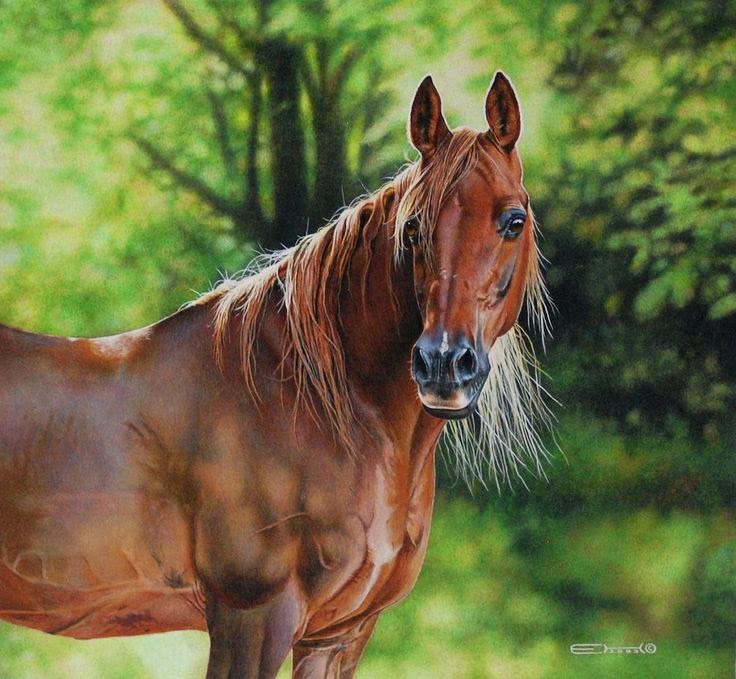 Realistic animal painting Art Craft Gift Ideas