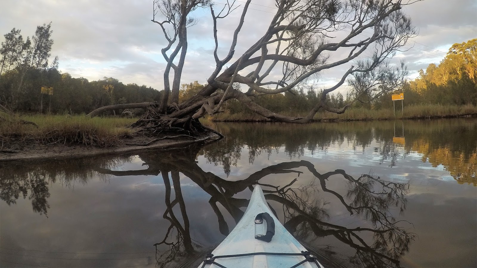 ROCK'S ADVENTURES AVOCA LAGOON KAYAK AND OTHER THINGS 24 JANUARY 2017
