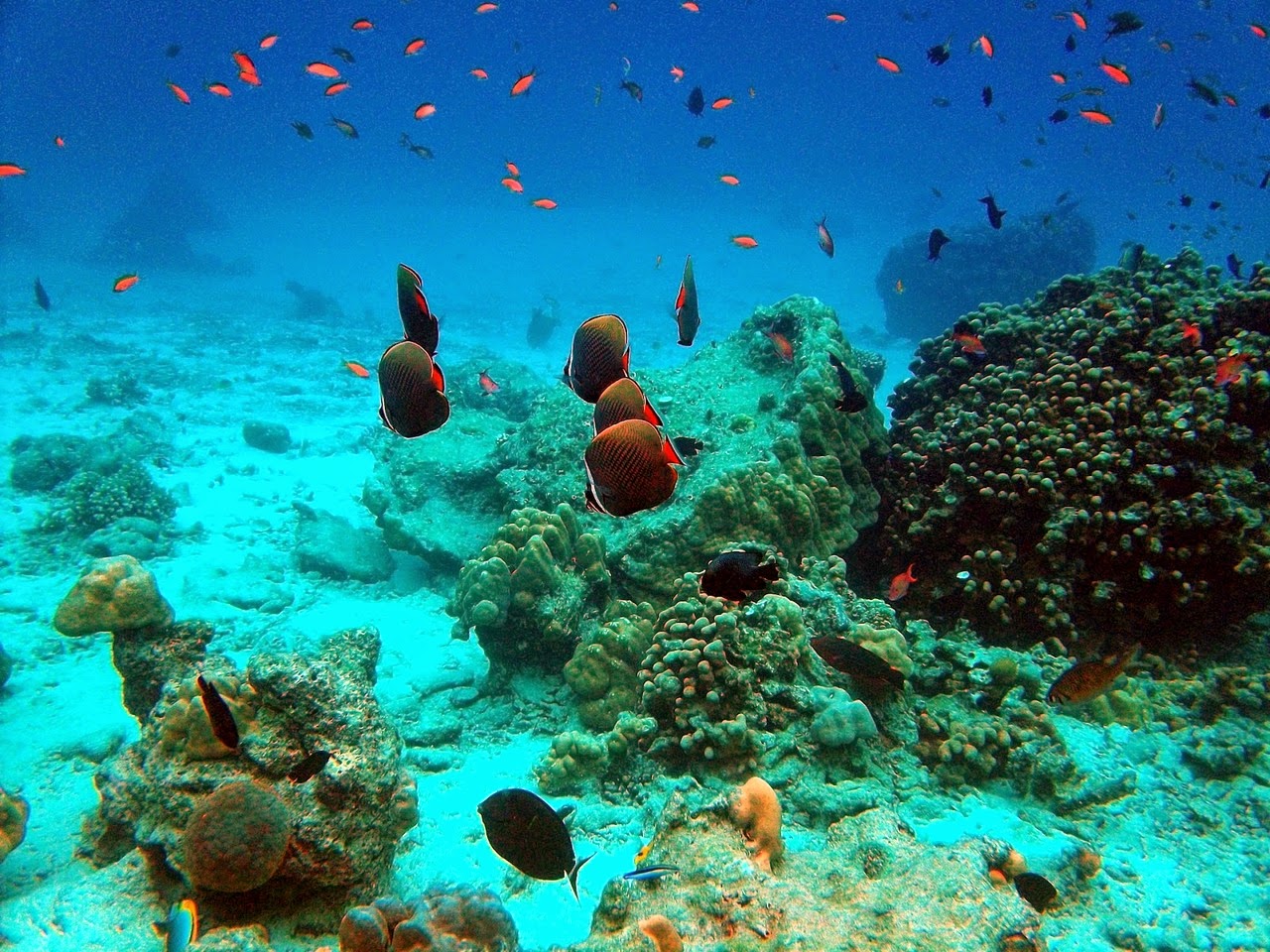 Daftar Tempat Wisata di Sabang Banda Aceh Yang Menarik Daftar Tempat Wisata di Sabang Banda Aceh Yang Menarik