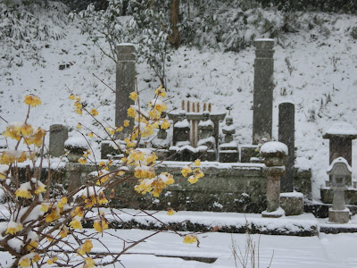 ��̖��{��